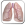 cache/resized/2813c9b004d168b372bde4522fc7f82e.png