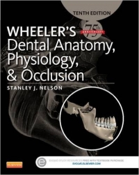 دانلود رایگان کتاب فیزیولوژی، اکلوژن و آناتومی دندان ویلر- ِWheeler's Dental Anatomy, Physiology and Occlusion, 10 ED(رایگان)