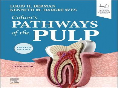 دانلود کتاب مسیرهای پالپ کوهن Cohen's Pathways of the Pulp 12th Edition