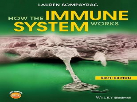دانلود کتاب سیستم ایمنی چگونه کار می کند How the Immune System Works 6th Edition