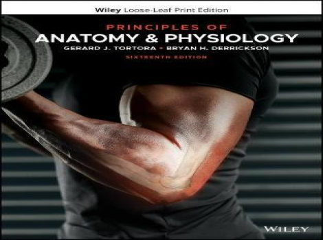 دانلود کتاب اصول آناتومی و فیزیولوژی تورتورا Principles of Anatomy and Physiology 16th Edition