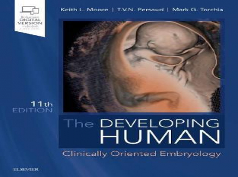 دانلود کتاب انسان در حال توسعه The Developing Human 11th Edition