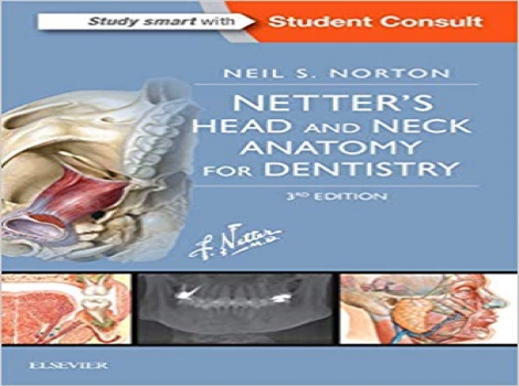 دانلود رایگان کتاب آناتومی سر و گردن برای داندانپزشکی نتر Netter's Head and Neck Anatomy for Dentistry 3 ED ویرایش سوم 2017