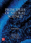 دانلود کتاب اصول علوم عصبی Principles of Neural Science, 6th Edition