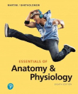 دانلود کتاب ضروریات آناتومی و فیزیولوژی مارتینی Essentials of Anatomy & Physiology 8th Edition